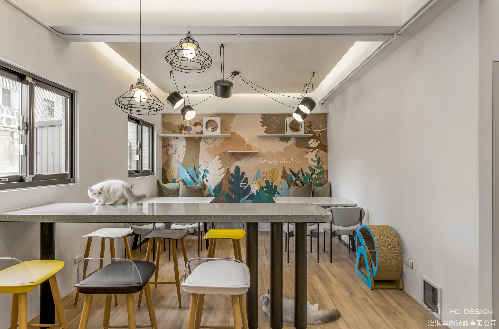 HC DESIGN|貓裡居-浤淇設計-室內設計公司,板橋室內設計公司,板橋室內設計,新北室內設計