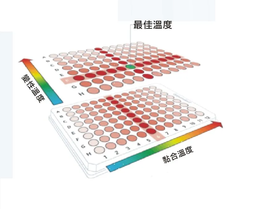 PCR儀溫度圖